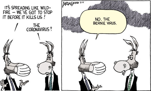 Bernievirus